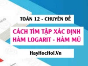 Cách tìm tập xác định hàm số Logarit và Bài tập vận dụng - Toán 12 chuyên đề